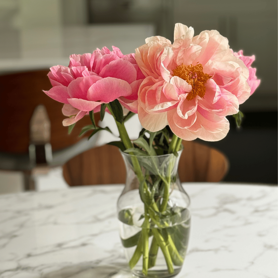 It’s Time to Plant Your Dream Garden!