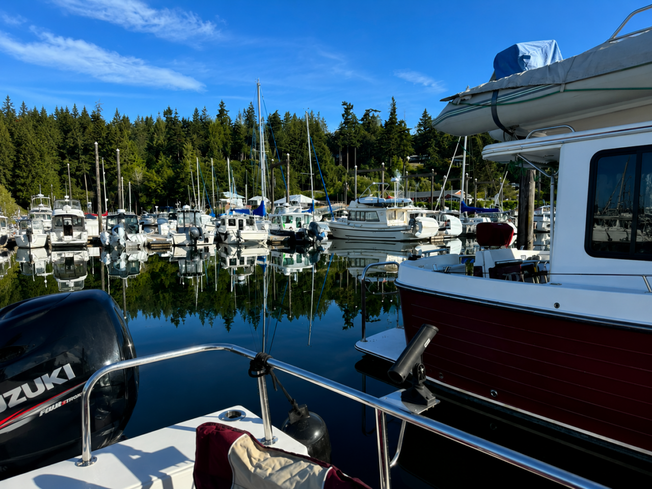 Port Ludlow marina pic